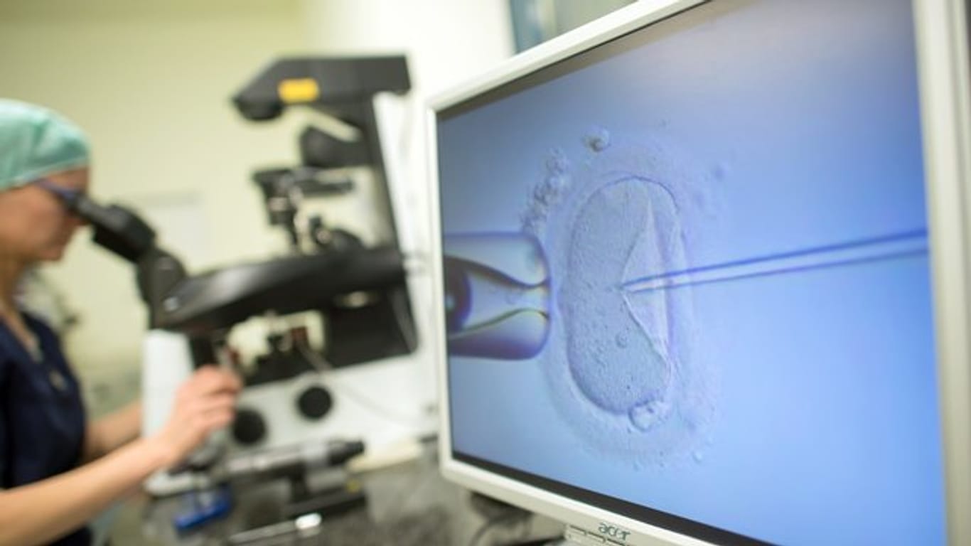 Ein Monitor zeigt in einem Kinderwunschzentrum eine Intrazytoplasmatische Spermieninjektion.