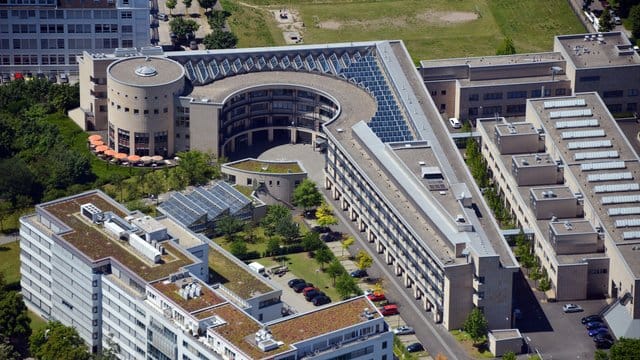 "Die Einflüsse der Übergewichtigkeit der Mutter gehen auf den Fötus über und können ihn in seiner Entwicklung beeinträchtigen", sagt Kinderärztin Ensenauer. "Die Einflüsse der Übergewichtigkeit der Mutter gehen auf den Fötus über und können ihn in seiner Entwicklung beeinträchtigen", sagt Kinderärztin Ensenauer.