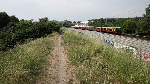 Blick auf den Bahndamm in Berlin-Pankow, an dem die Leiche der 30-Jährigen gefunden wurde. Blick auf den Bahndamm in Berlin-Pankow, an dem die Leiche der 30-Jährigen gefunden wurde.
