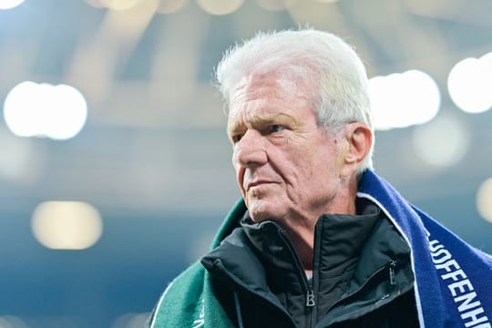 Feindbild einiger BVB-Fans: Hoffenheim-Mäzen Dietmar Hopp.