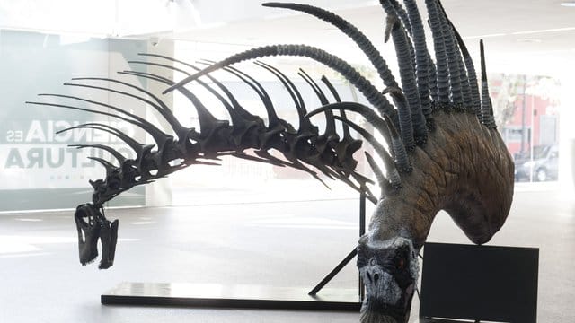Nachbildungen des Bajadasaurus pronuspinax, eine Dinosaurierart mit enormen Stacheln am Hals. Nachbildungen des Bajadasaurus pronuspinax, eine Dinosaurierart mit enormen Stacheln am Hals.