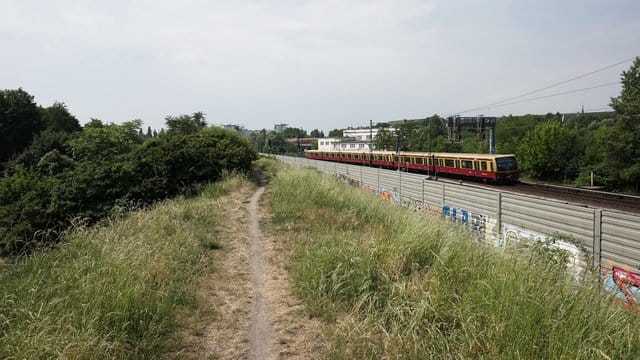 An einen Bahndamm in Pankow wurde die ermordete Frau aufgefunden.