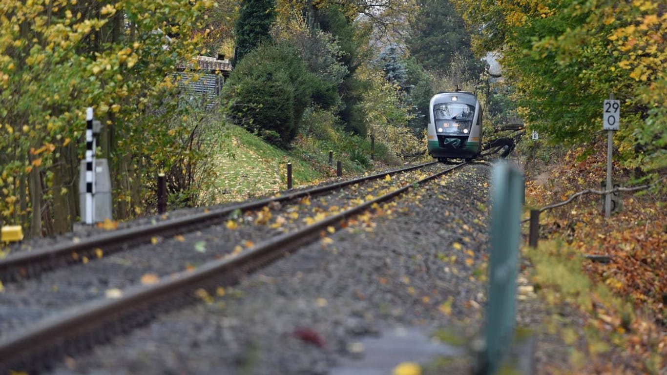 Ein Zug des Bahnunternehmens Trilex auf Gleisen: Bei dem Unfall wurden Lokführer und eine Kundenbetreuerin leicht verletzt. (Symbolbild)