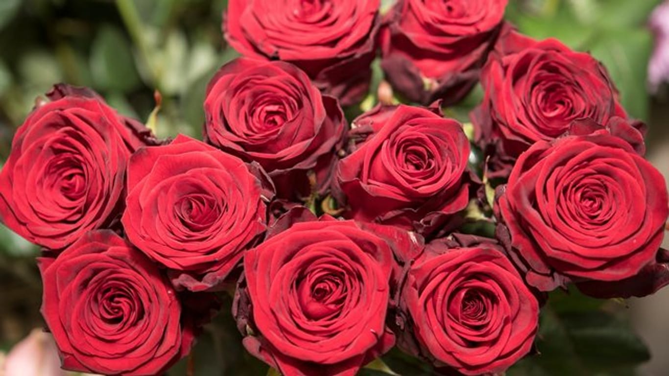 Jemanden zum Valentinstag einen Blumenstrauß ins Büro zu schicken, hält Etikette-Expertin Elisabeth Bonneau für keine gute Idee.