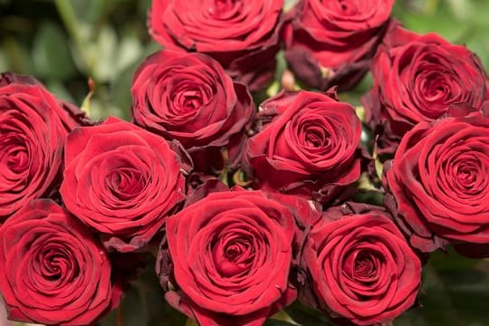 Jemanden zum Valentinstag einen Blumenstrauß ins Büro zu schicken, hält Etikette-Expertin Elisabeth Bonneau für keine gute Idee.