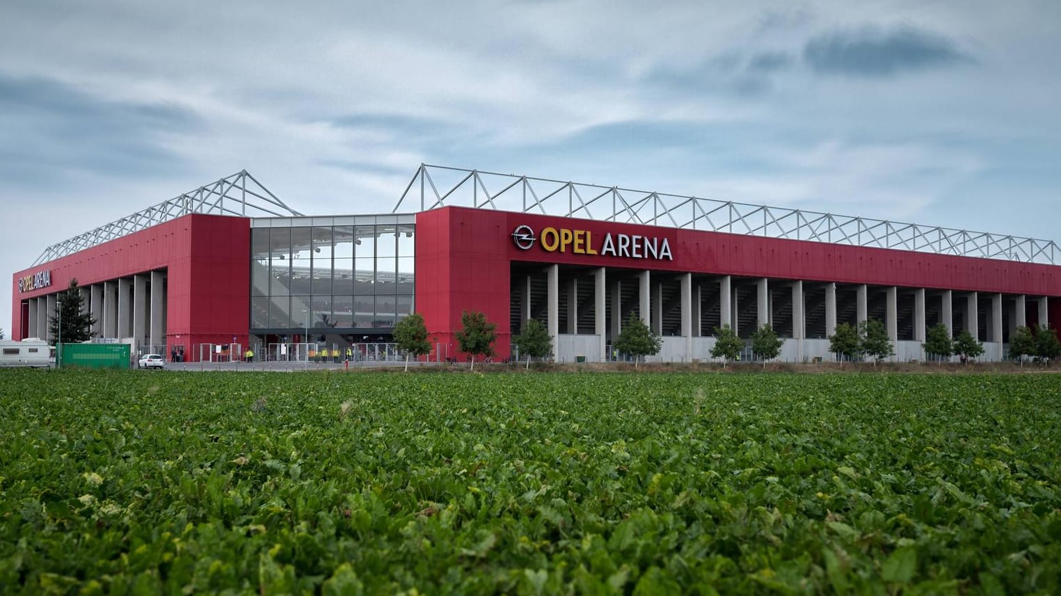 Rettung nach Herzinfarkt: Ein Unbekannter half am Samstag einem Mitarbeiter des Ordnungsdienstes an der Opel Arena in Mainz. Rettung nach Herzinfarkt: Ein Unbekannter half am Samstag einem Mitarbeiter des Ordnungsdienstes an der Opel Arena in Mainz.