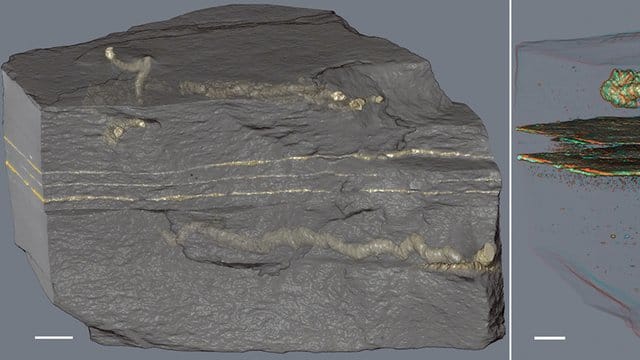 Schnurförmige Strukturen in 2,1 Milliarden Jahre altem Gestein. Schnurförmige Strukturen in 2,1 Milliarden Jahre altem Gestein.
