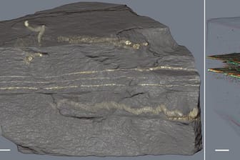 Schnurförmige Strukturen in 2,1 Milliarden Jahre altem Gestein.