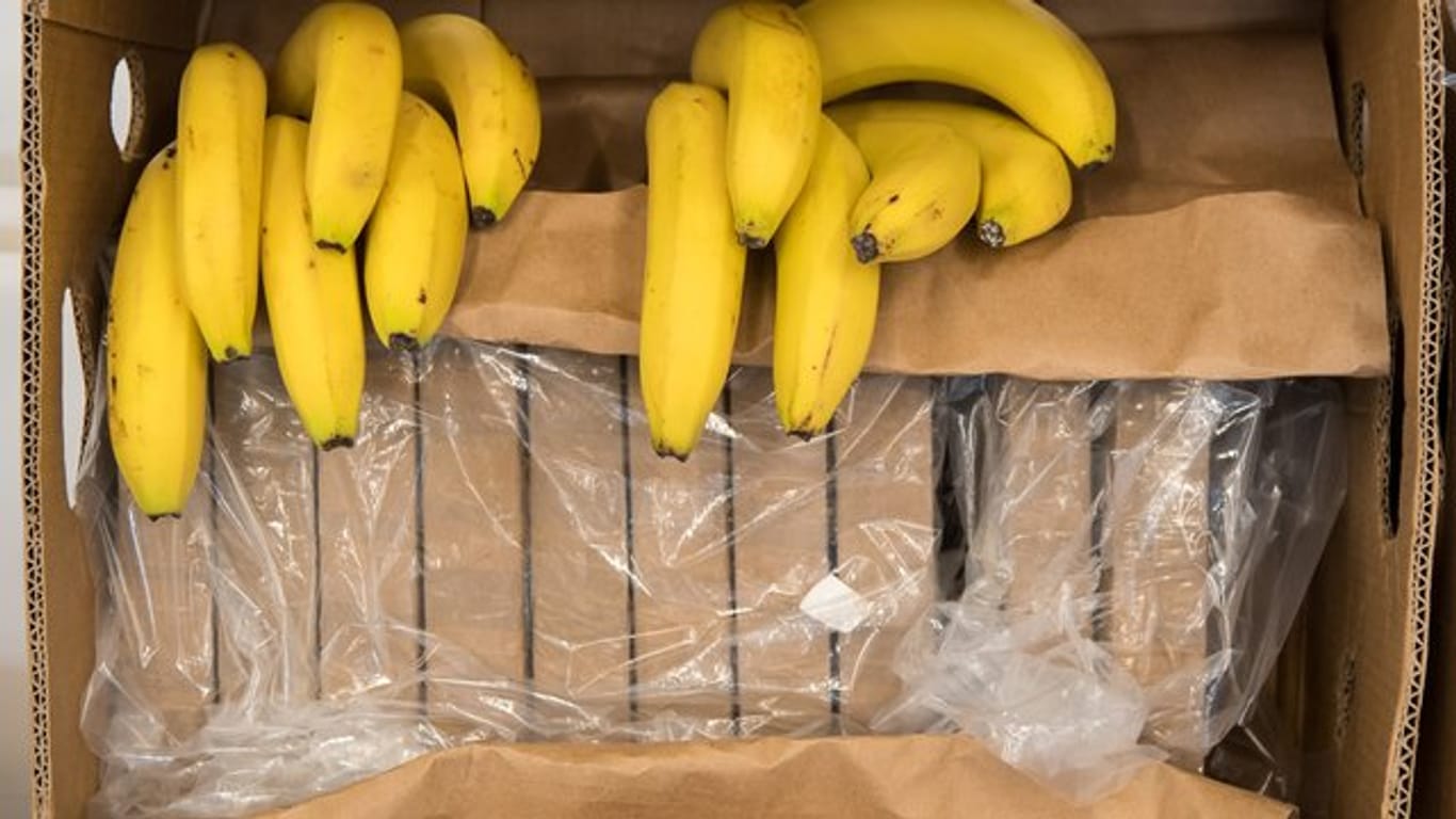 In einer Bananenkiste deponiertes Kokain wird vom bayerischen Landeskriminalamt präsentiert.