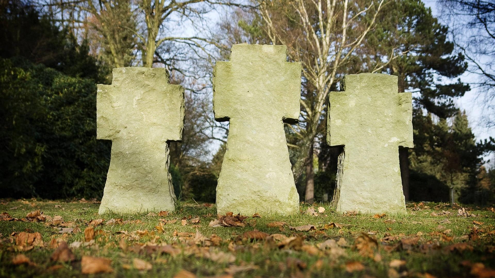 Steinkreuze auf dem Soldatenfriedhof in Hamburg-Ohlsdorf (Symbolbild): Die Verwaltung prüft eine weitere Einschränkung des Autoverkehrs auf der fast 400 Hektar großen Grünanlage.