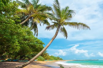 Mirissa Beach in Sri Lanka: Auf der Insel können Reisende schon für umgerechnet 1,20 Euro eine einfache Mahlzeit kaufen.