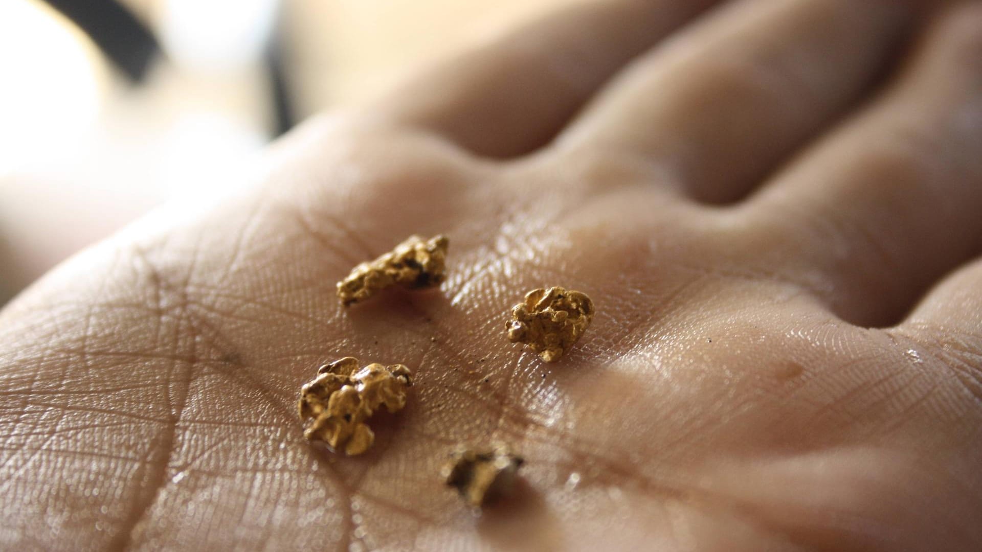 Gold aus einer Mine: Bei einem Unglück kamen mehrere Goldsucher ums Leben. (Symbolbild) Gold aus einer Mine: Bei einem Unglück kamen mehrere Goldsucher ums Leben. (Symbolbild)