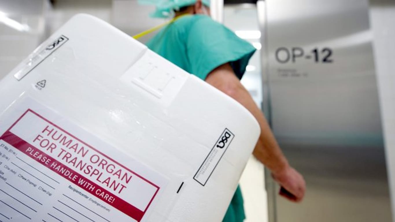 Styropor-Behälter zum Transport von zur Transplantation vorgesehenen Organen.