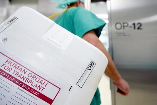 Styropor-Behälter zum Transport von zur Transplantation vorgesehenen Organen.