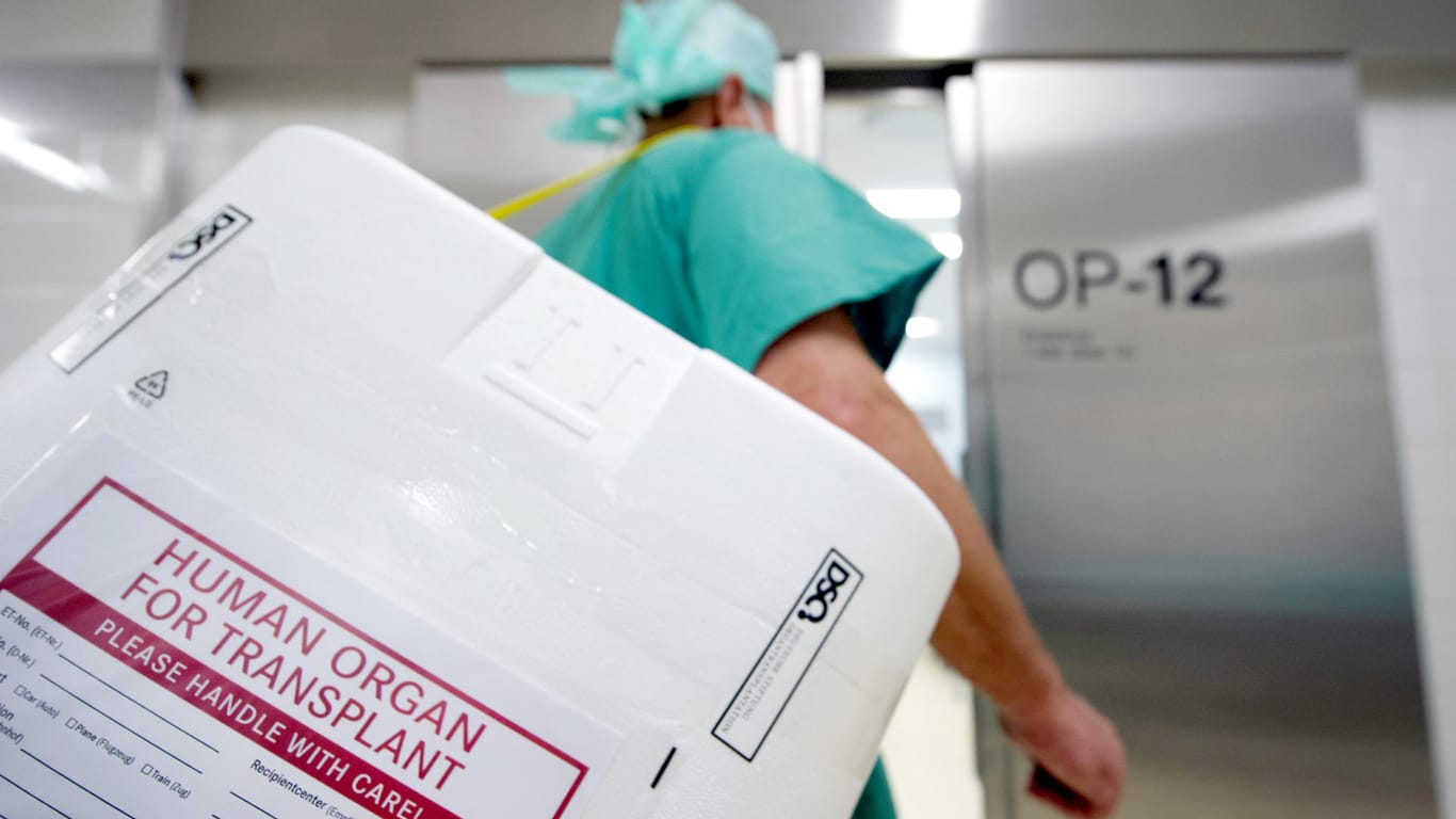 Ein Styropor-Behälter zum Transport von Organen: Krankenhäuser sollen bald bessere Bedingungen für Organspenden herrschen.