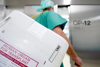 Ein Styropor-Behälter zum Transport von Organen: Krankenhäuser sollen bald bessere Bedingungen für Organspenden herrschen.