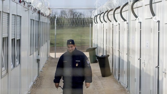 Ein ungarischer Polizist patrouilliert in einer "Transitzone" für Asylsuchende an der Grenze zu Serbien. Ein ungarischer Polizist patrouilliert in einer "Transitzone" für Asylsuchende an der Grenze zu Serbien.