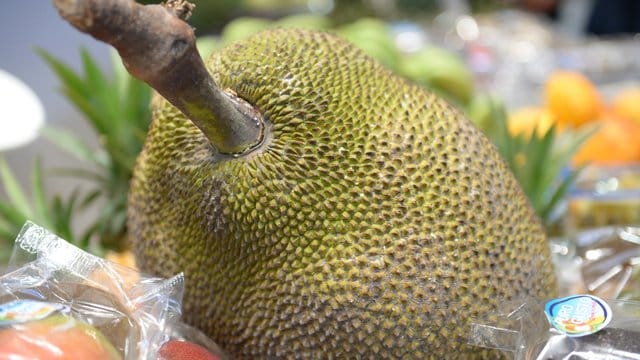 Die länglich ovale Frucht des Jackfruchtbaums wächst in Süd- und Südostasien.