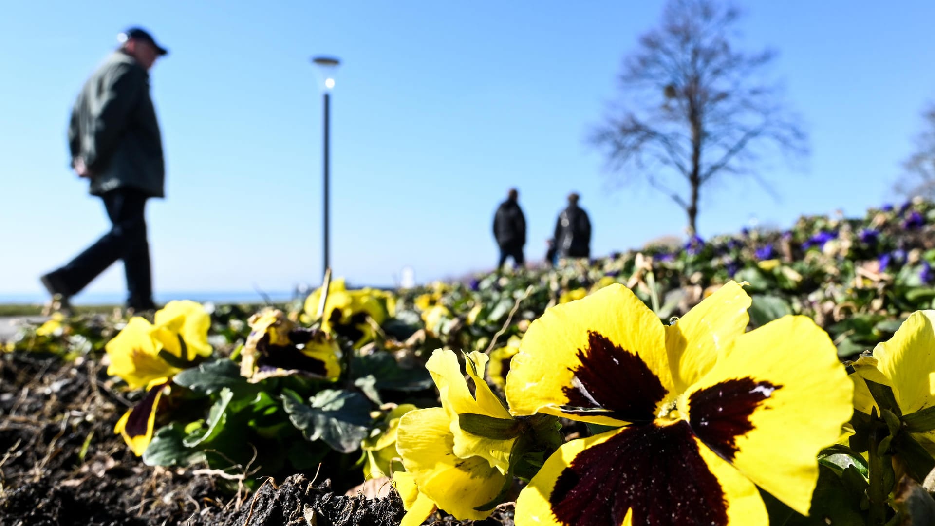 Wetter am Bodensee