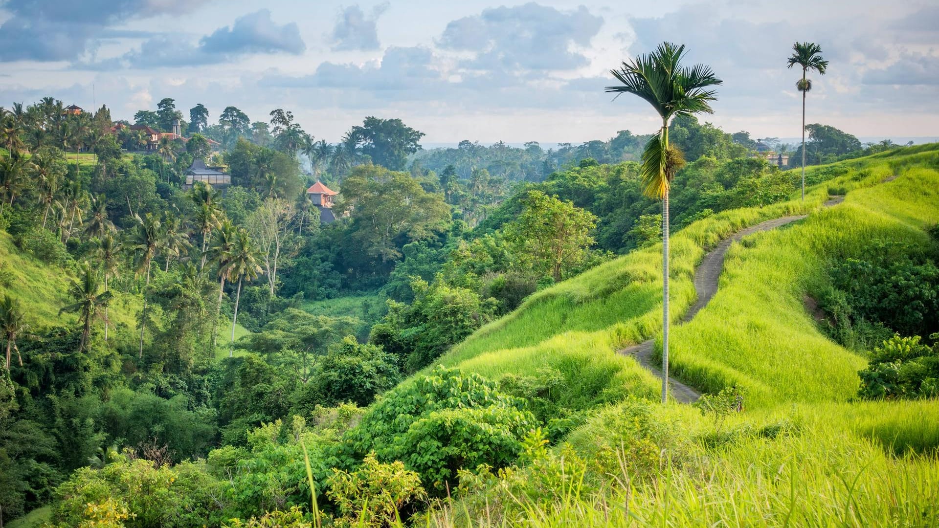 Kleinstadt Ubud auf Bali, Indonesien: Mobil mit Laptop und Smartphone