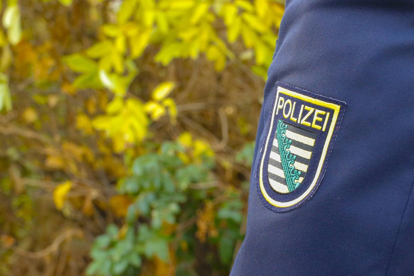 Polizei Sachsen: Vor einem Denkmal ist ein Hakenkreuz gelegt worden. (Symbolbild)