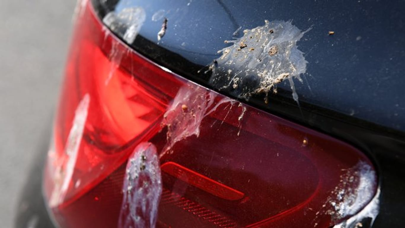 Flecken-Alarm: Vogelkot sollten Autofahrer schnellstmöglich entfernen, damit er keine teuren Schäden hinterlässt.