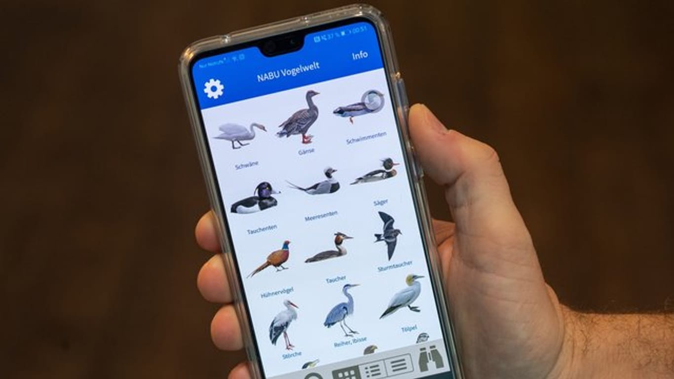 Die Nabu-App "Vogelwelt" bietet detaillierte Informationen zu mehr als 300 Vogelarten mit Bestimmungstafeln.