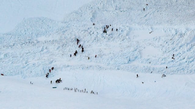 Rettungskräfte sind in einem Lawinengebiet im Skigebiet Crans-Montana im Einsatz.