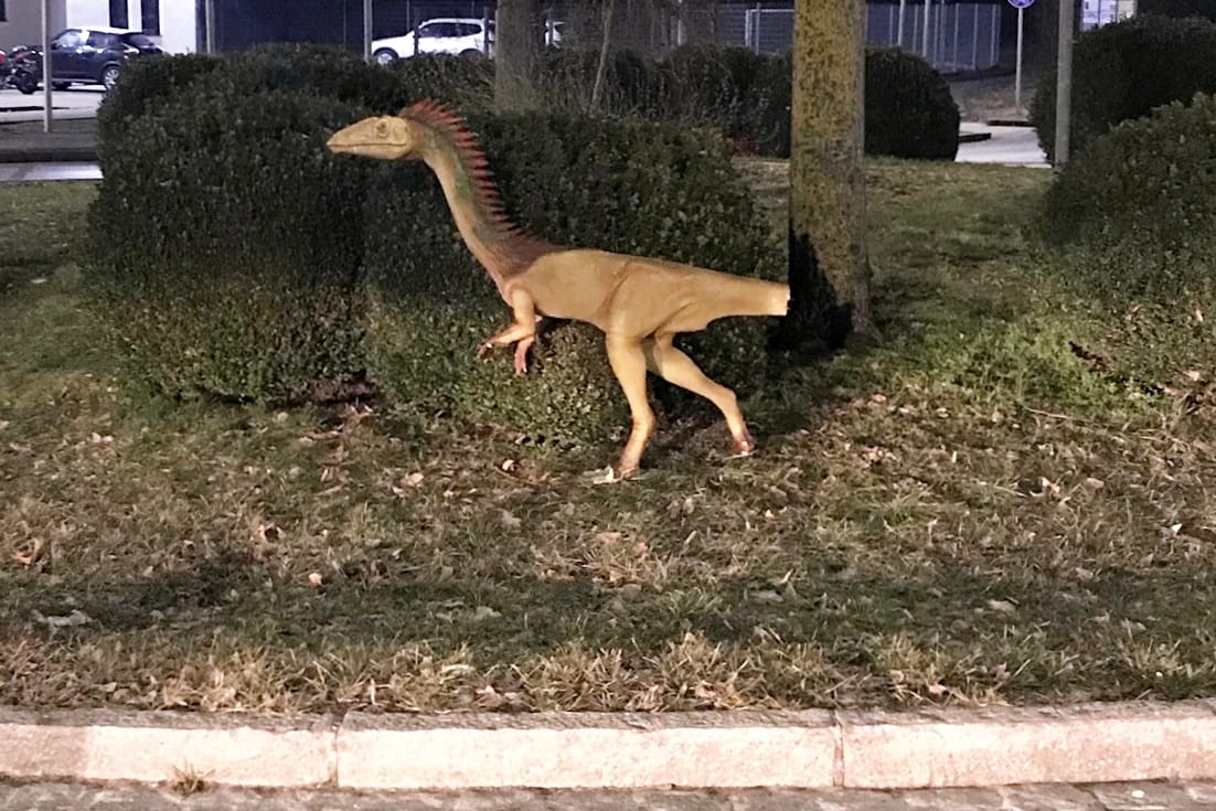 Bayern, Abensberg: Das am Schwanz beschädigte Modell eines Dinosauriers "Coelophysis" steht an einem Kreisverkehr im Landkreis Kelheim.