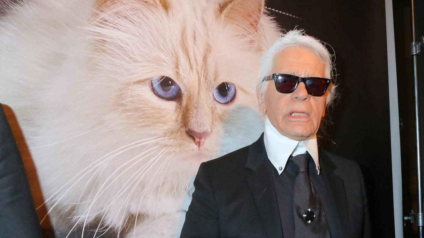 Karl Lagerfeld: Seine Katze Choupette war das Zentrum seiner Welt.