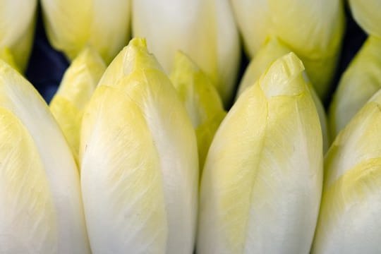 Chicorée sollte fest geschlossene, knackige Sprossen mit hellgelben bis gelben Blattspitzen haben.