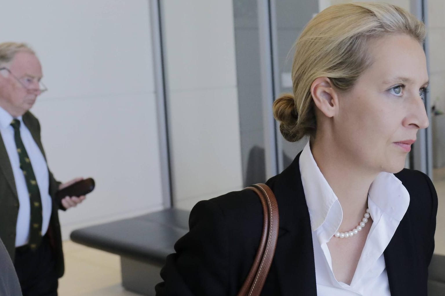 Alexander Gauland und Alice Weidel: AfD legte offenbar falscher Spenderliste vor.