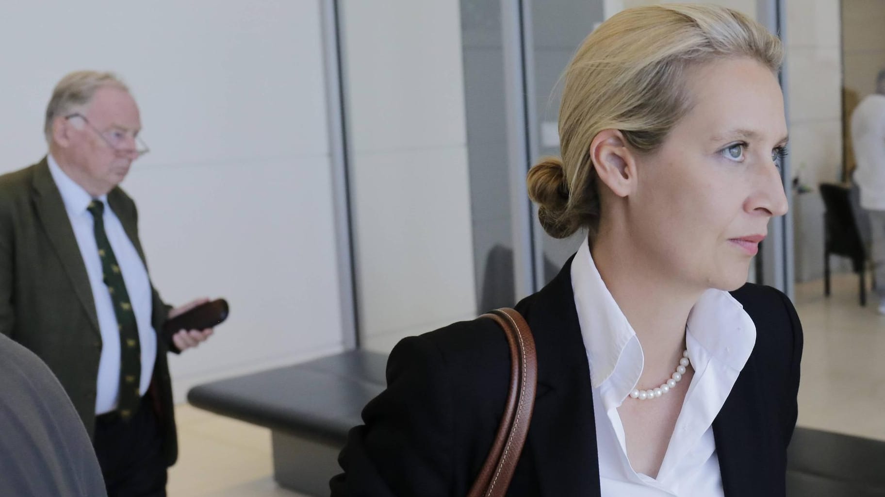 Alexander Gauland und Alice Weidel: AfD legte offenbar falscher Spenderliste vor. Alexander Gauland und Alice Weidel: AfD legte offenbar falscher Spenderliste vor.