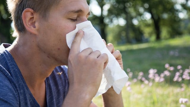 Kein Frühling zum Genießen: Für manche Betroffene ist Heuschnupfen nur nervig - andere leiden aber auch richtig darunter. Kein Frühling zum Genießen: Für manche Betroffene ist Heuschnupfen nur nervig - andere leiden aber auch richtig darunter.