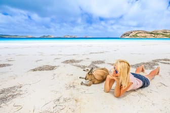 Am Strand mit Kängurus in Australien