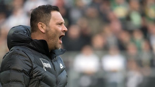 Hertha-Trainer Pal Dardai will die Bayern im heimischen Stadion ärgern. Hertha-Trainer Pal Dardai will die Bayern im heimischen Stadion ärgern.