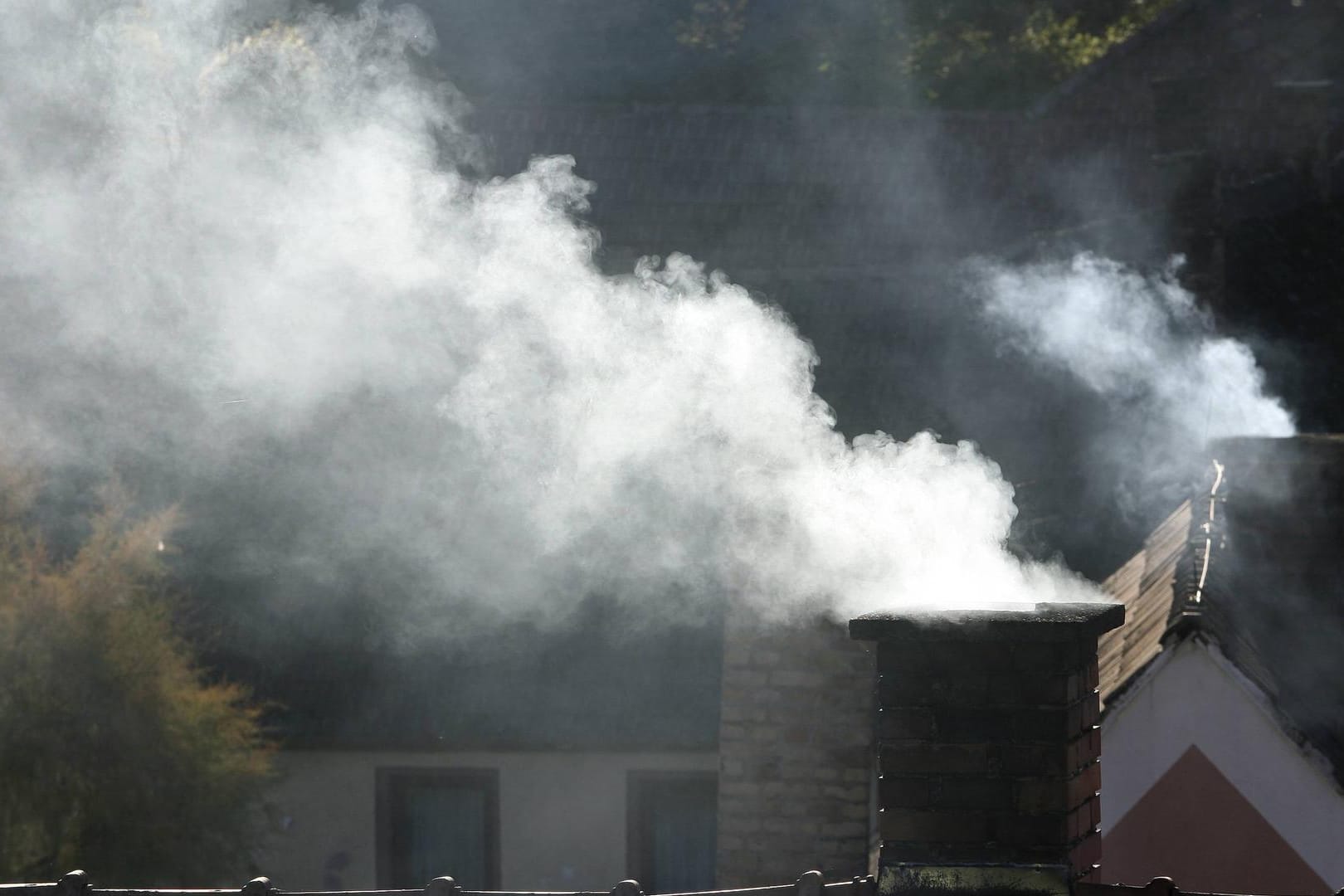 Im öffentlichen Backhaus (Symbolbild): Bei einem Backabend in Nagold in Baden-Württemberg sind zehn Teilnehmer mit Kohlenmonoxid vergiftet worden.