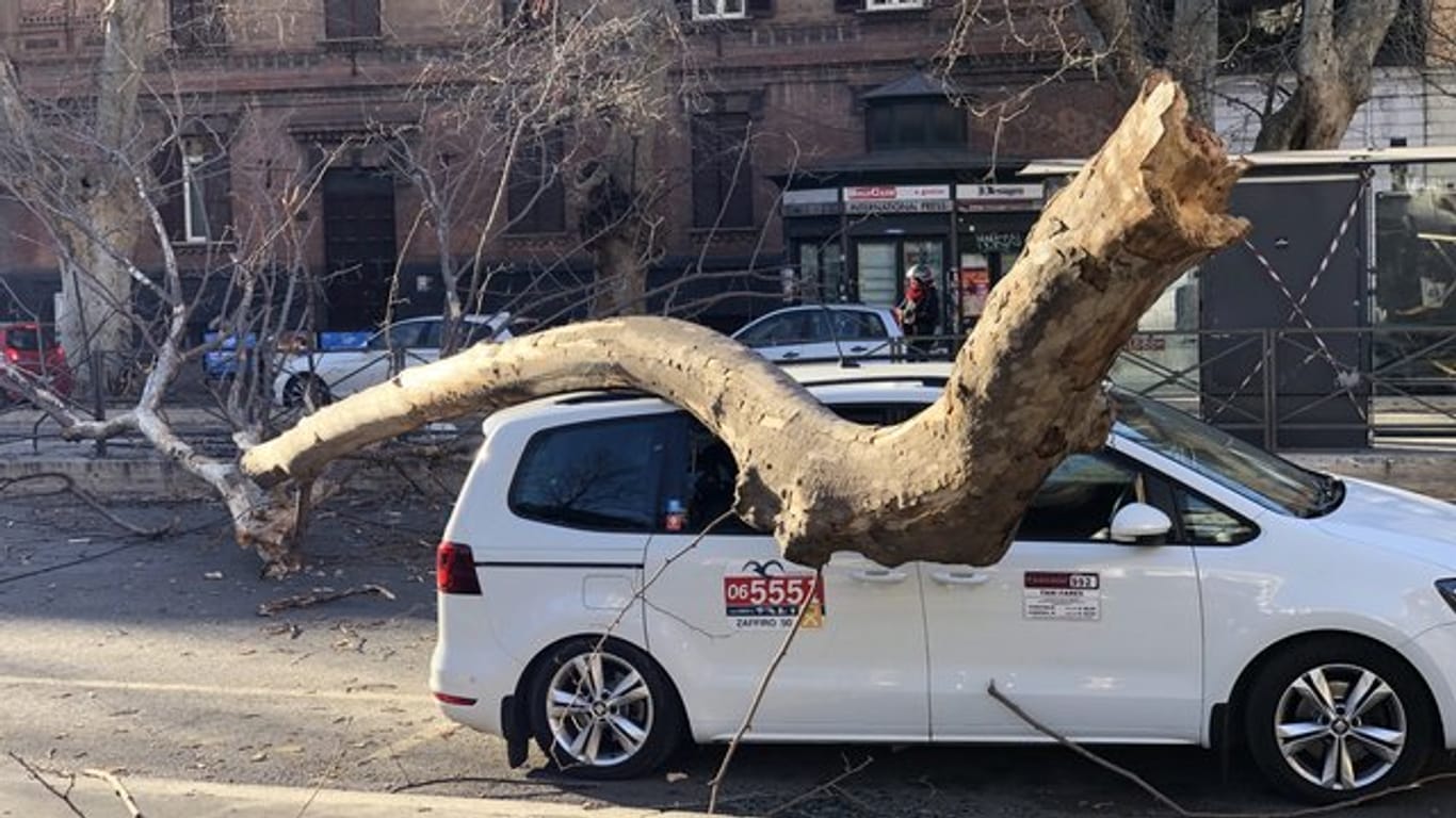 Bei starkem Wind ist der Ast eines Baumes in der Strasse Viale di Trastevere in Rom auf ein Auto gefallen.