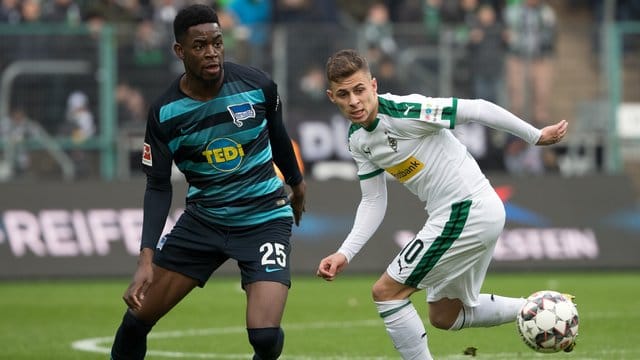Hertha BSC hofft auf eine schnelle Genesung von Jordan Torunarigha. Hertha BSC hofft auf eine schnelle Genesung von Jordan Torunarigha.