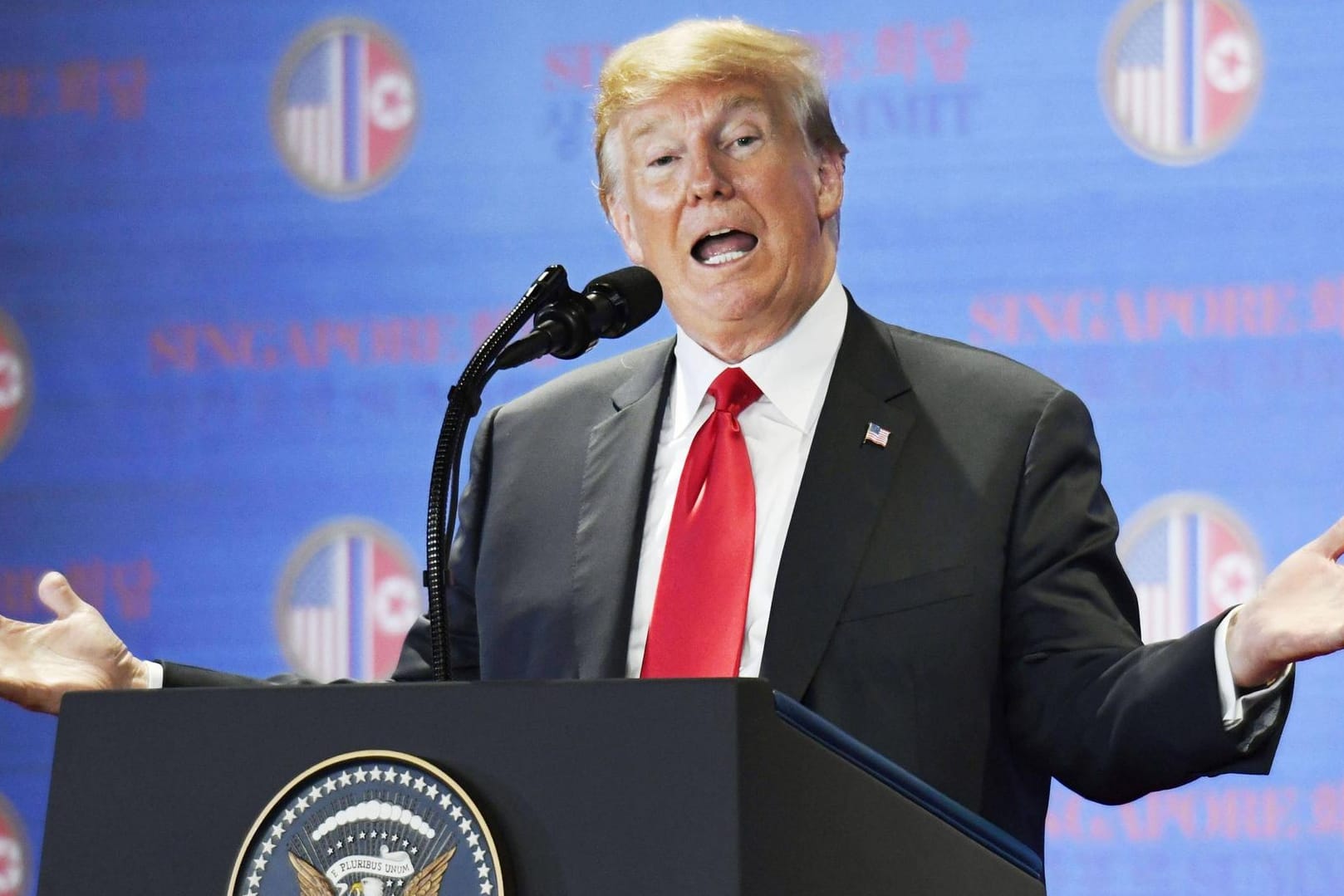 Trump nach dem ersten Gipfel mit Kim: Er sagt, was er will.