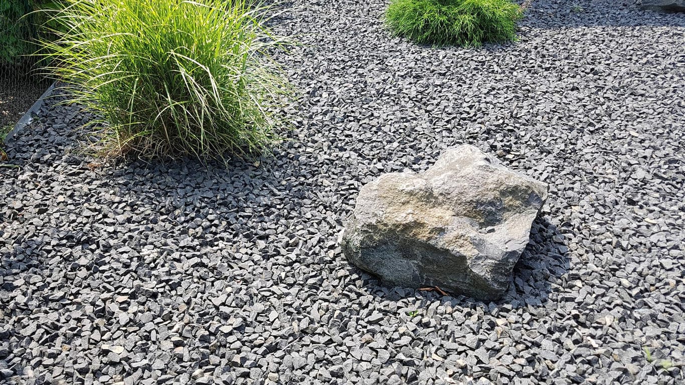 Schottergärten wie diesen wollen die Grünen in Neubaugebieten in Hagen verhindern. (Symbolfoto)