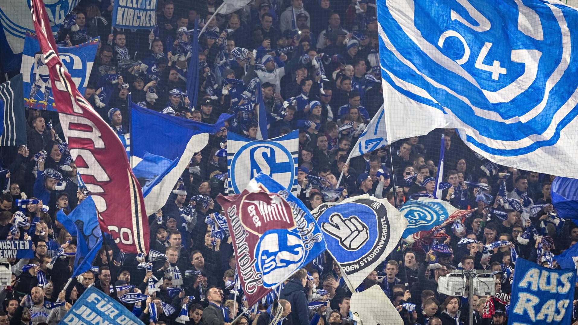 Schalker Fans während der Partie gegen Manchester City.