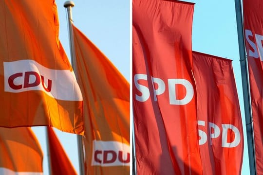 Seit Anfang der 1990er Jahre haben die Volksparteien im Schnitt die Hälfte ihrer Mitglieder verloren.