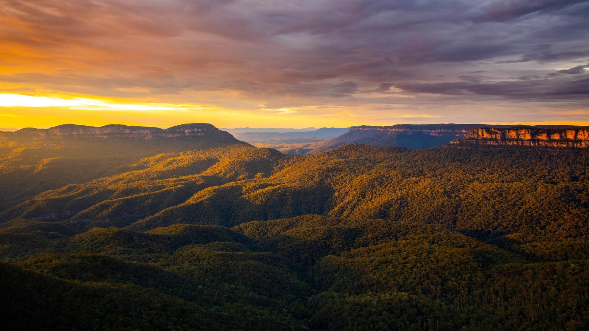 Blue Mountains in Australien: Die Natur Australiens ist vielfältig. Von Stränden über Berge hin zu einer diversen Tierwelt gibt es einiges zu entdecken.