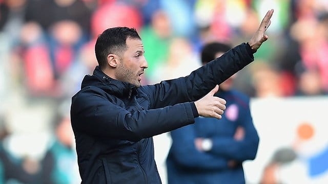 Schalke-Trainer Domenico Tedesco steht unter Druck.