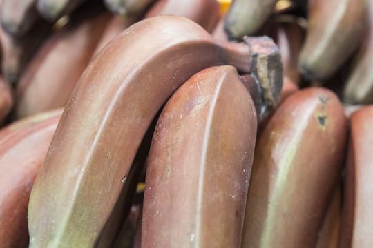 Das Bananenmehl wird aus unreifen, geschälten und getrockneten Kochbananen hergestellt.