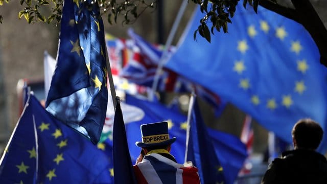 Brexit-Gegner bei einer Protestveranstaltung in der Nähe des britischen Parlaments. Brexit-Gegner bei einer Protestveranstaltung in der Nähe des britischen Parlaments.