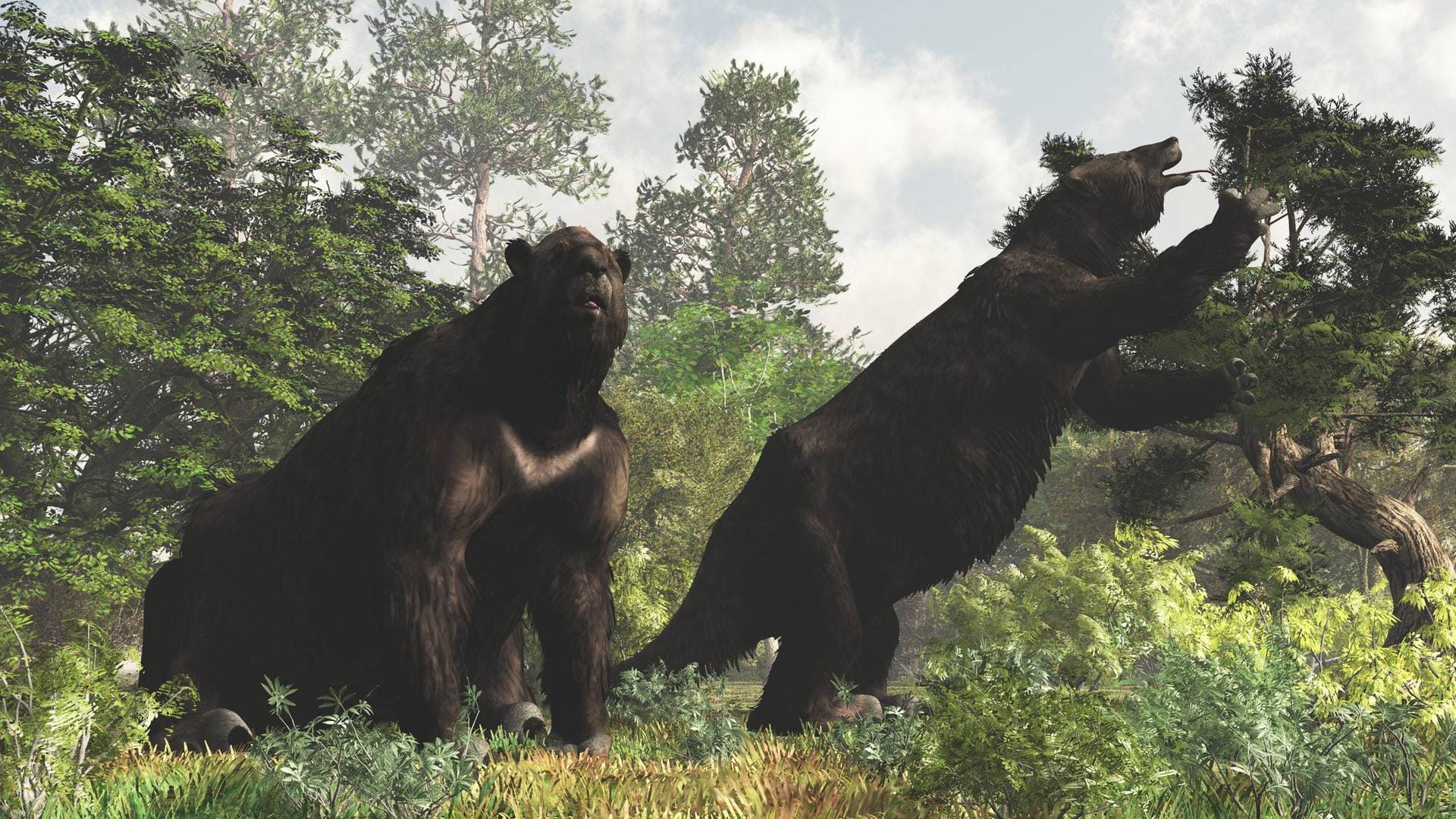 Eine Illustration von Riesenfaultieren der Gattung Megatherium americanum: Der Fund im heutigen Belize ist der Gattung Eremotherium laurillardi zuzuordnen.