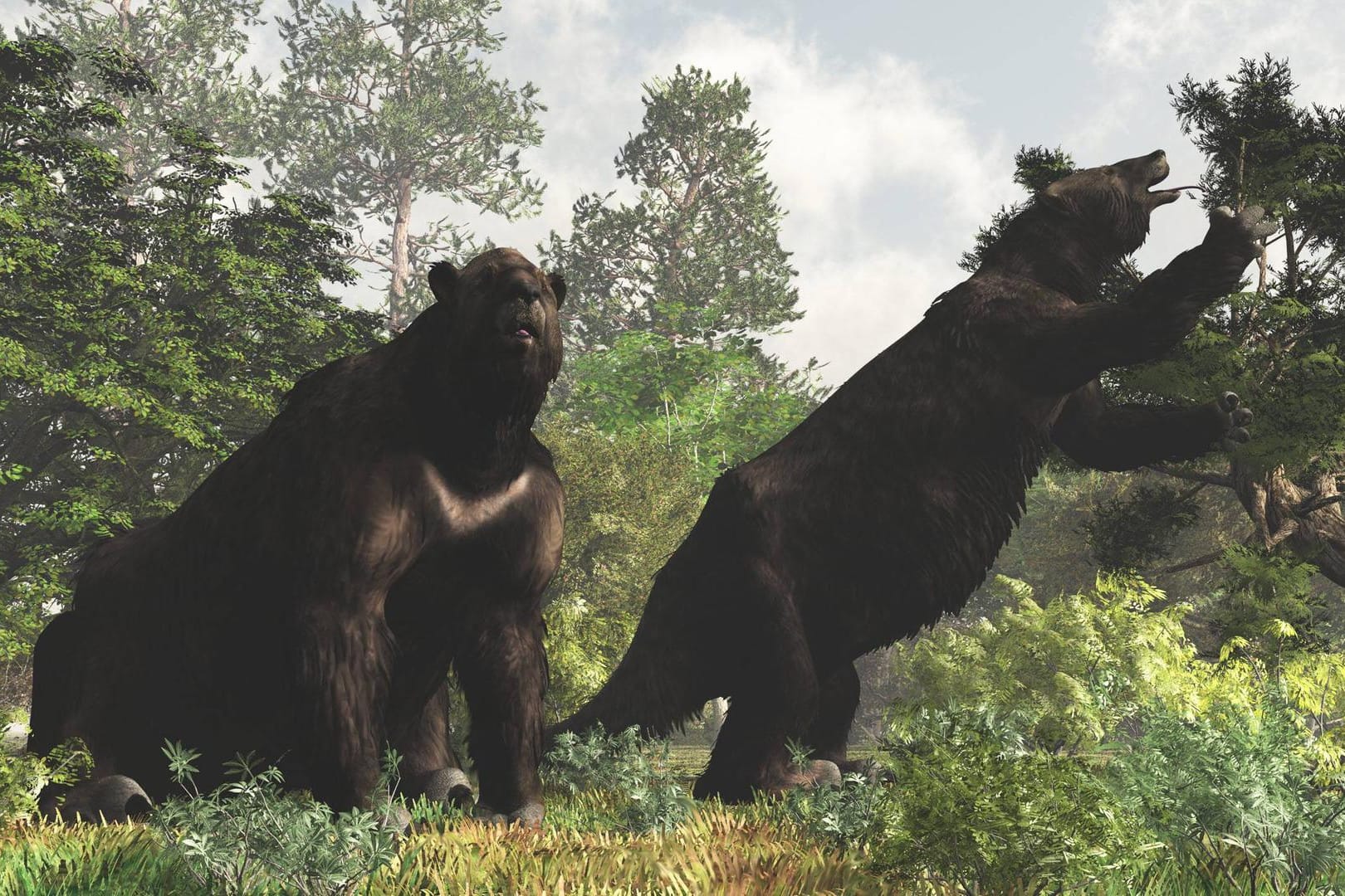 Eine Illustration von Riesenfaultieren der Gattung Megatherium americanum: Der Fund im heutigen Belize ist der Gattung Eremotherium laurillardi zuzuordnen.
