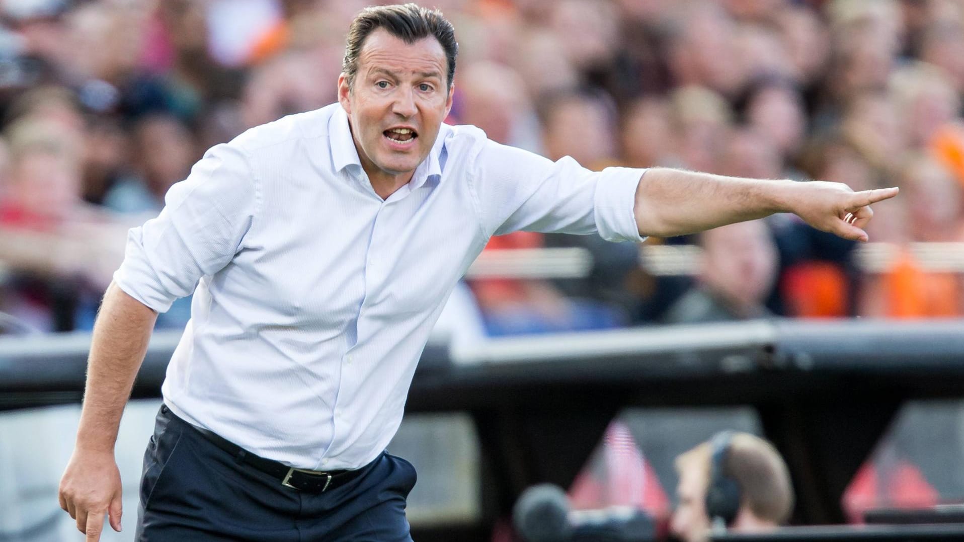 Könnte Schalke helfen: Marc Wilmots.